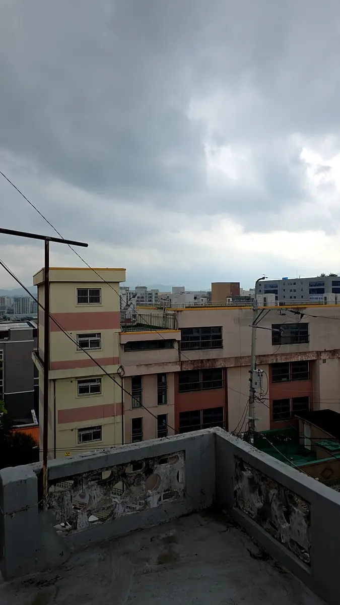 나무제거업체 비용