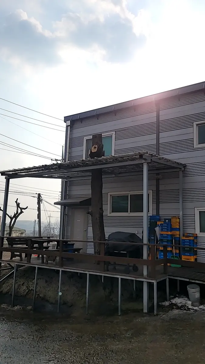 농지 수목 전량 제거 작업 후